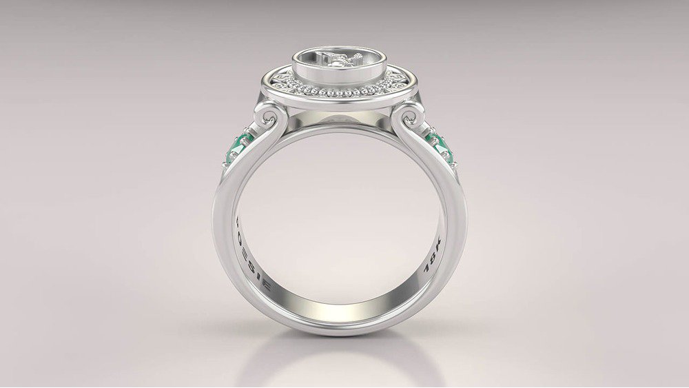 Anel de Formatura de Educação Física Sinete (Prata 925) (2)