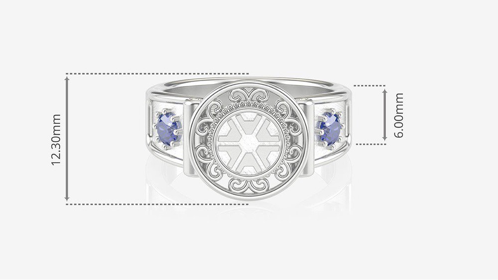 Anel de Formatura de Agronomia Sinete (Prata 925) (medidas)