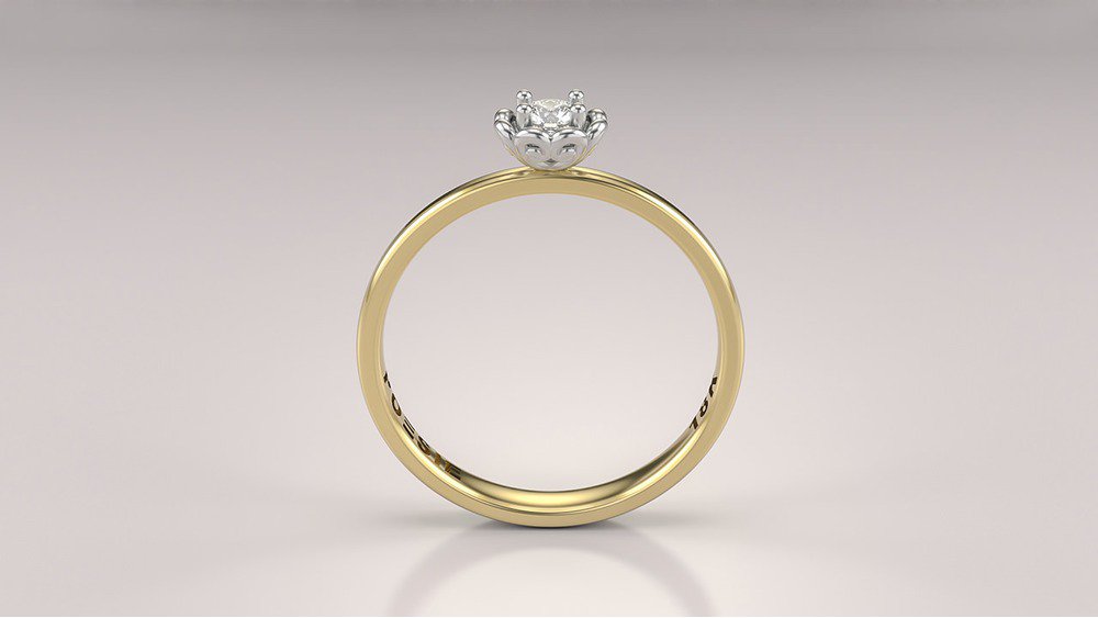 Anel de Noivado Bloom AB (2)