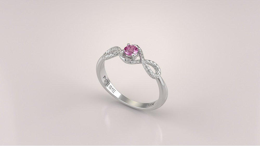 Anel de Formatura de Ciências Contábeis Ledger I (1)