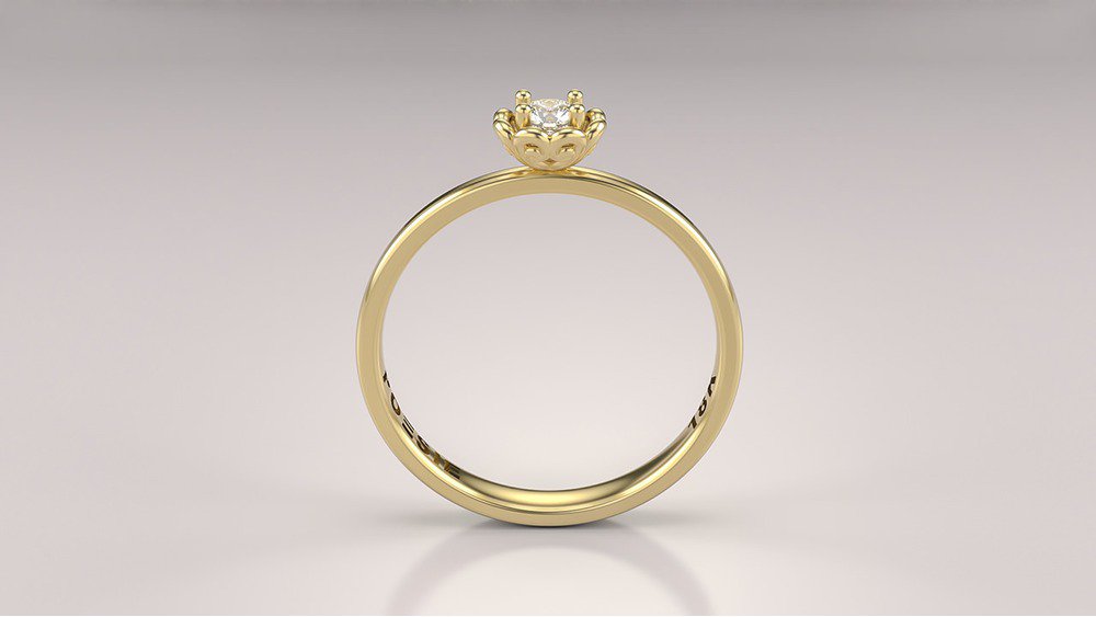 Anel de Noivado Bloom II (2)