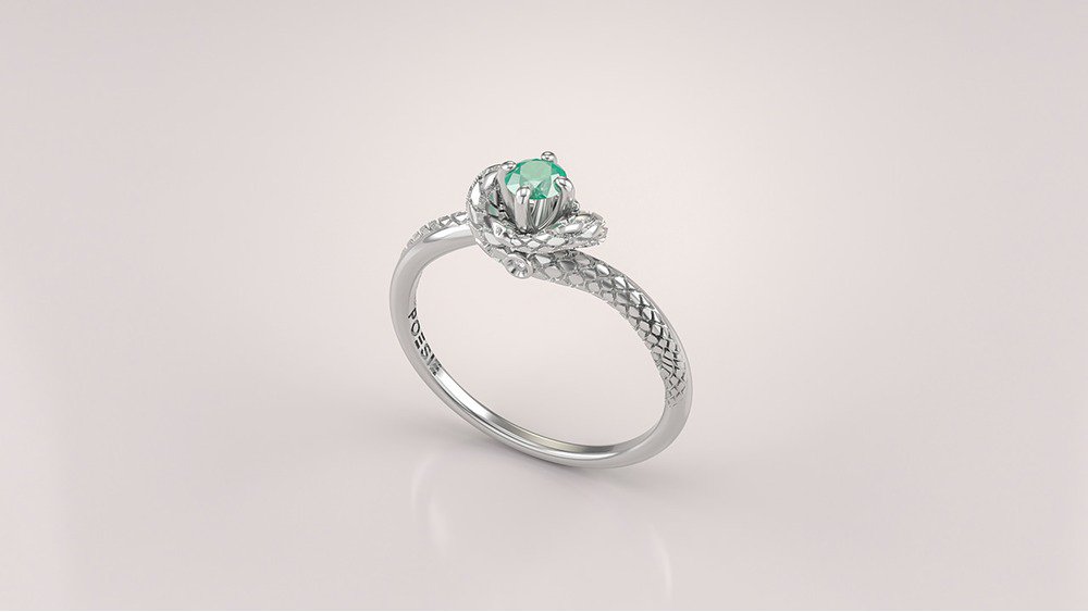 Anel de Formatura de Medicina Python I (2)