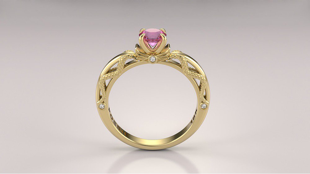 Anel de Formatura de Ciências Contábeis Nummer II (2)