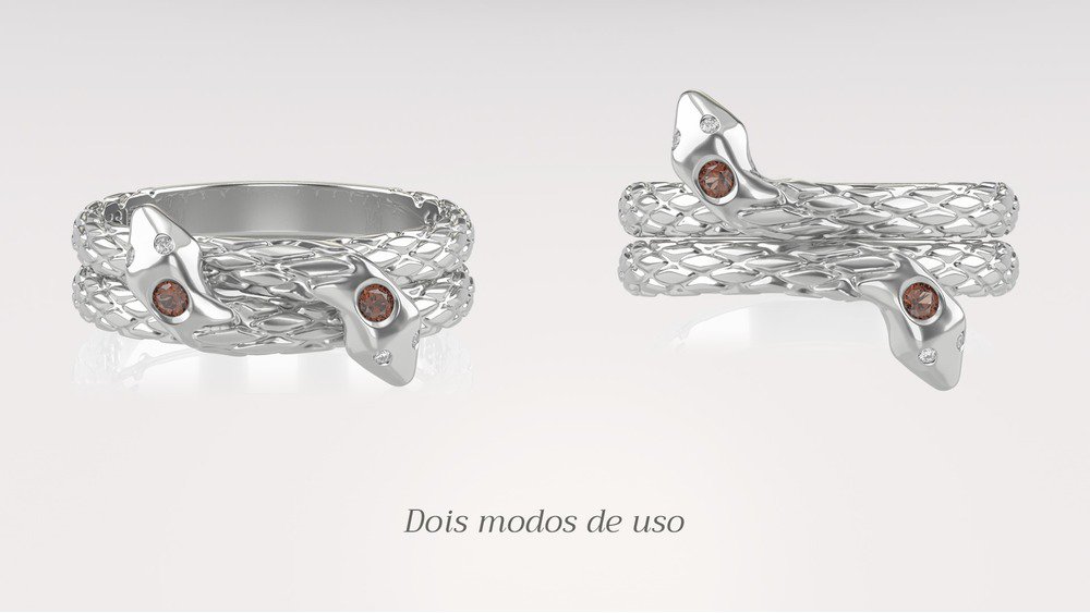 Anel Formatura de Odontologia Nagi I (3)