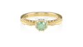  Anel de Formatura de Nutrição Vita II