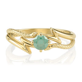 Anel de Formatura de Fisioterapia Kinesis II