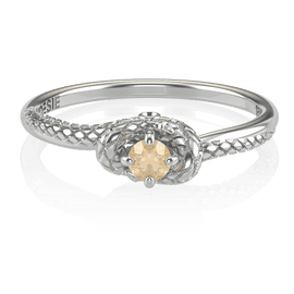 Anel de Formatura de Farmácia Python I