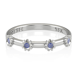 Anel de Formatura de Engenharia Exacta I