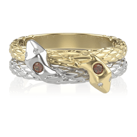 Anel Formatura de Odontologia Nagi AB