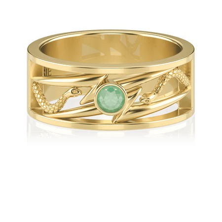 Anel de Formatura de Fisioterapia Move II