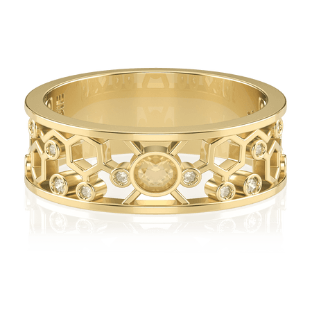 Anel de Formatura de Farmácia Amina II