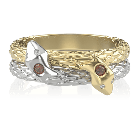 Anel Formatura de Odontologia Nagi AB