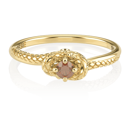 Anel de Formatura de Odontologia Python II