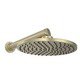 Chuveiro de Parede Deca Aquamax - Summer Gold 1998.SM.CT.MT